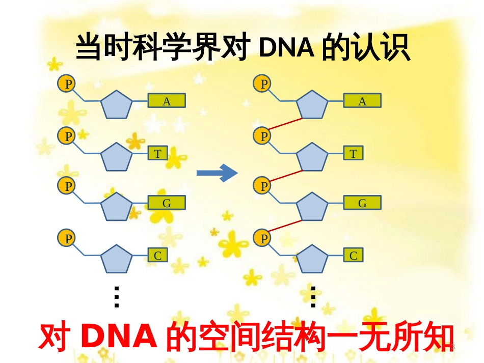 高中生物 第三章 基因的本质 3.2.1 DNA分子的结构教学课件 新人教版必修2_第3页