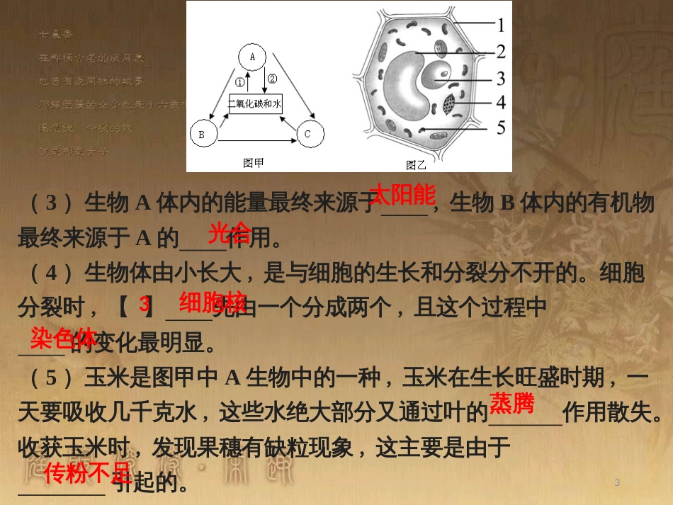 八年级生物下册 第二轮复习 生物圈中的人专题课件 新人教版 (17)_第3页