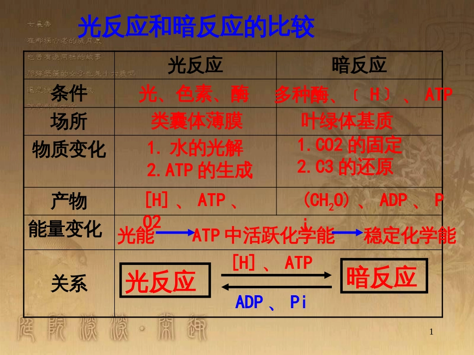 高中生物 5.4 色素提取课件（必修1） (29)_第1页