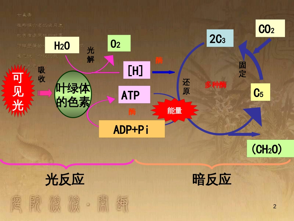 高中生物 5.4 色素提取课件（必修1） (29)_第2页