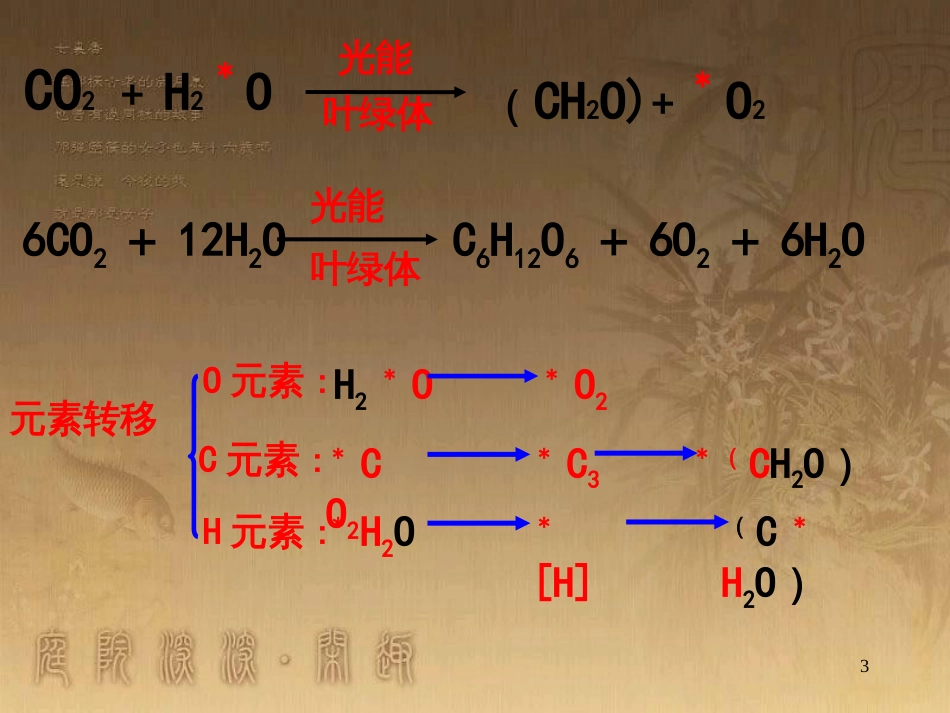 高中生物 5.4 色素提取课件（必修1） (29)_第3页