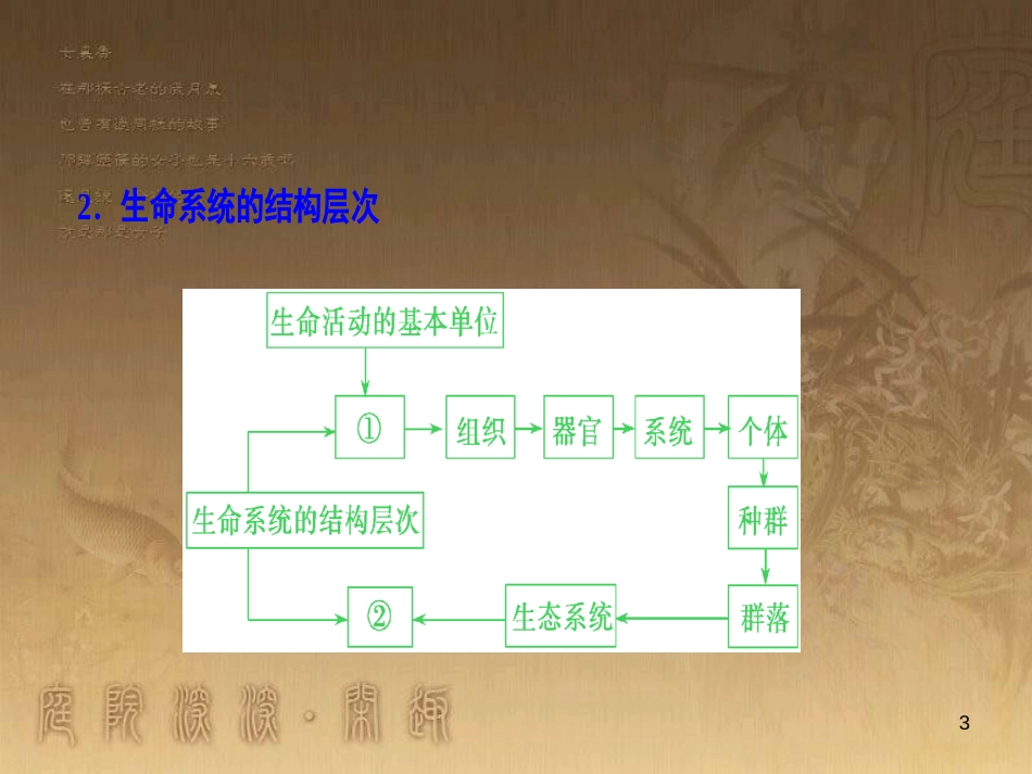 高考生物一轮复习 第八单元 生命活动的调节 第二讲 通过神经系统的调节课件 新人教版 (74)_第3页