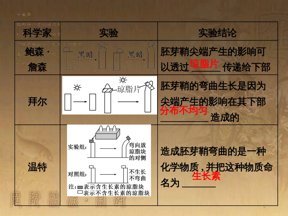 高考生物一轮复习 第二单元 基因的本质与表达 第1讲 DNA是主要的遗传物质课件（必修2） (40)_第3页
