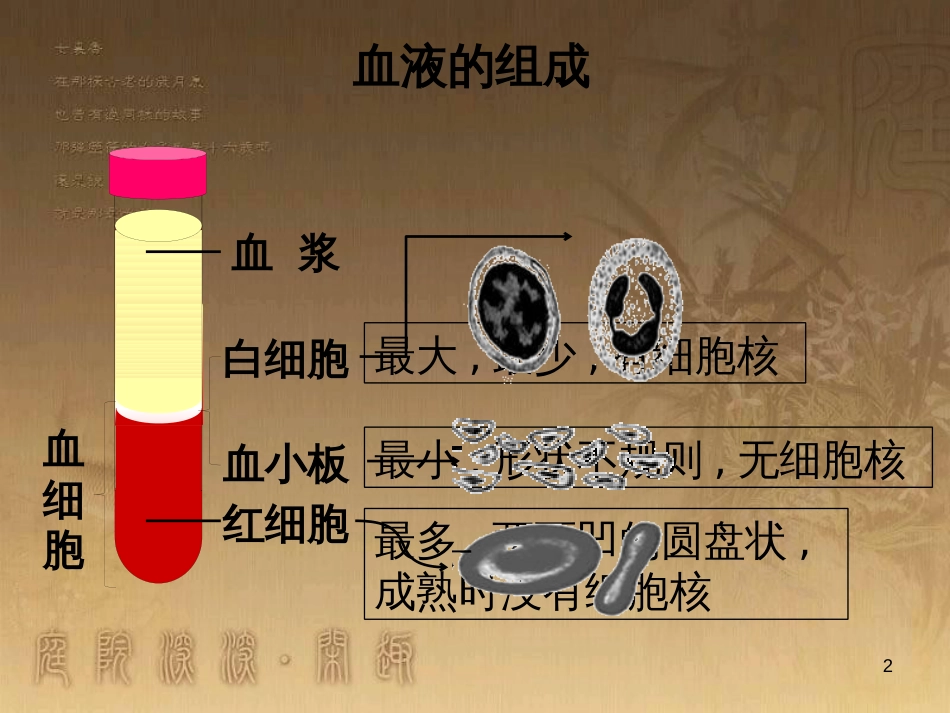 八年级生物下册 第二轮复习 生物圈中的人专题课件 新人教版 (4)_第2页