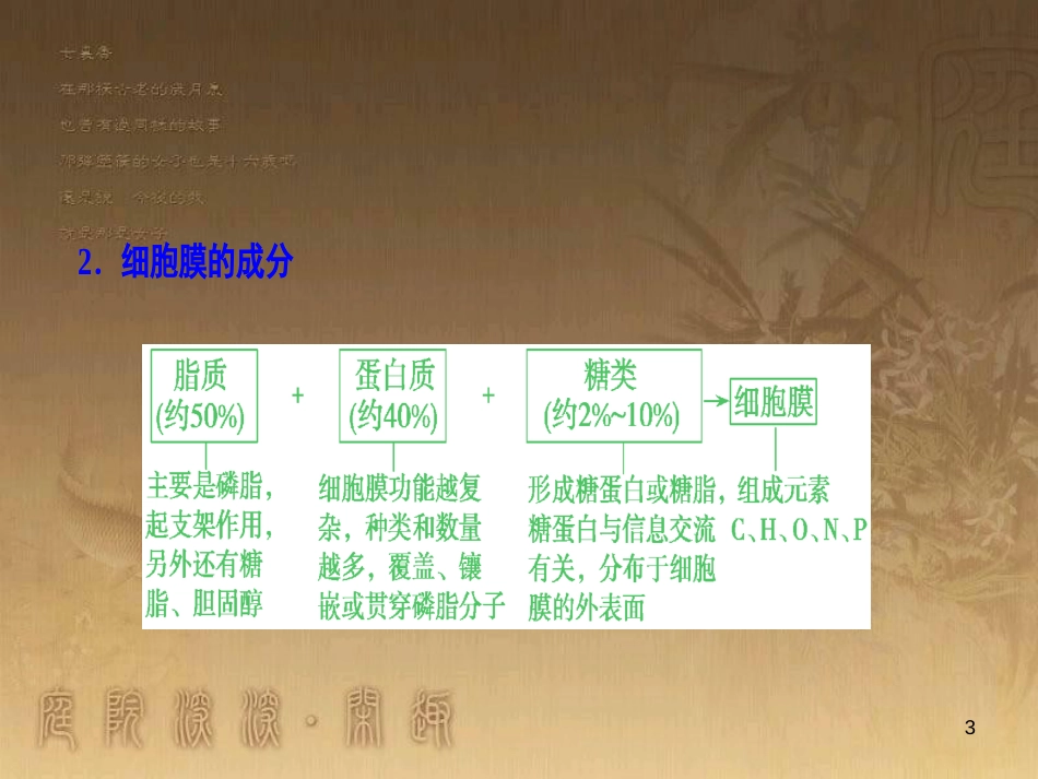 高考生物一轮复习 第八单元 生命活动的调节 第二讲 通过神经系统的调节课件 新人教版 (121)_第3页