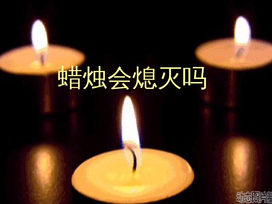 八年级生物下册 13.1 生物的分类课件1 北京版 (423)_第1页