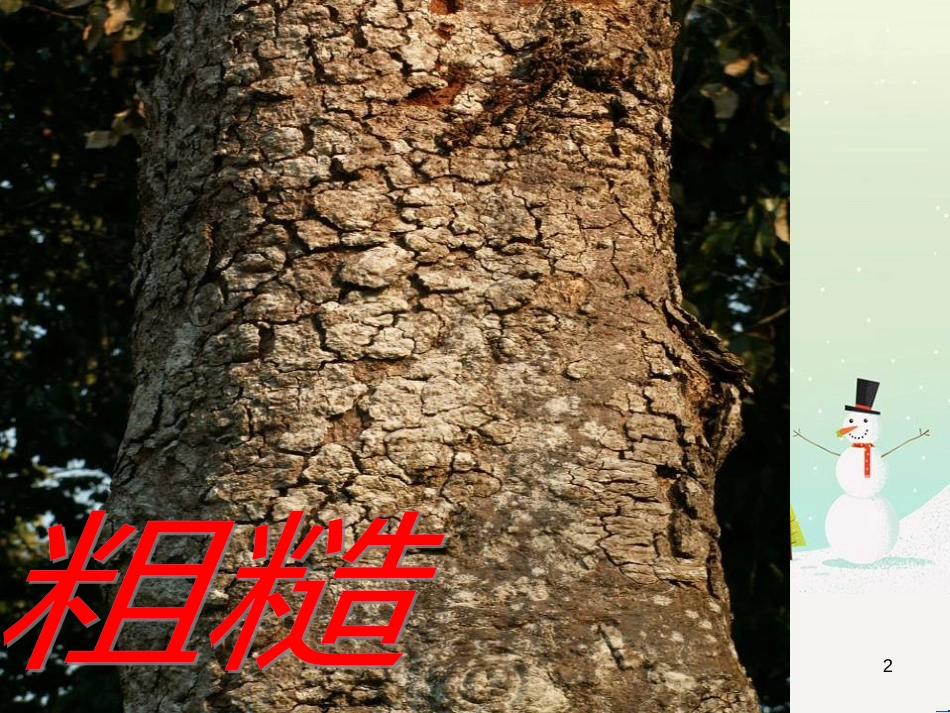 八年级生物下册 13.1 生物的分类课件1 北京版 (37)_第2页