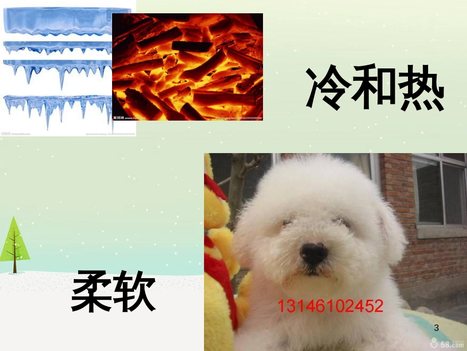 八年级生物下册 13.1 生物的分类课件1 北京版 (37)_第3页