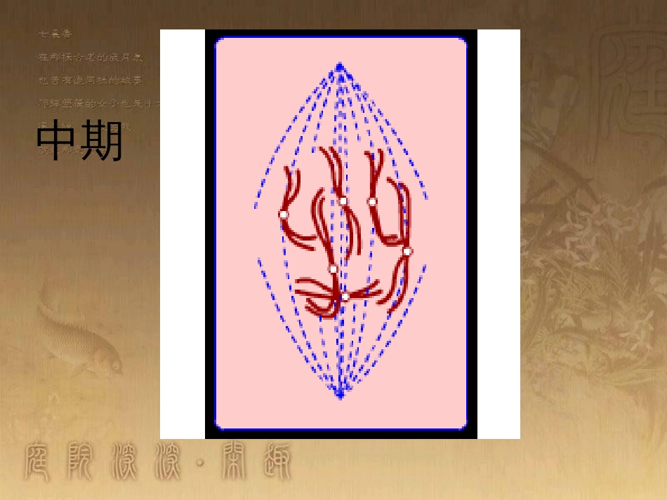 高中语文 11包身工课件 新人教版必修1 (25)_第3页