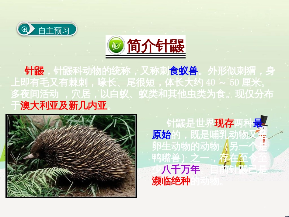 八年级生物下册 13.1 生物的分类课件1 北京版 (759)_第3页