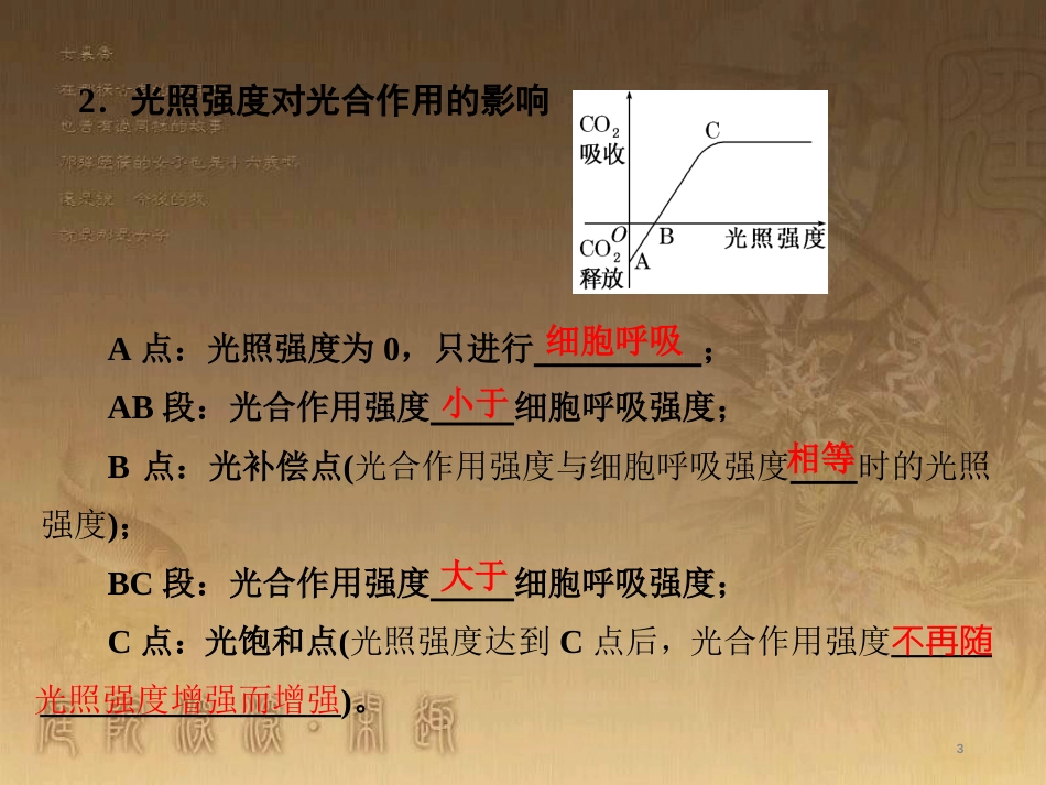 高考生物一轮复习 第二单元 基因的本质与表达 第1讲 DNA是主要的遗传物质课件（必修2） (32)_第3页