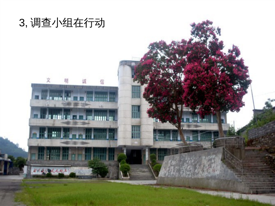 八年级生物下册 13.1 生物的分类课件1 北京版 (917)_第1页