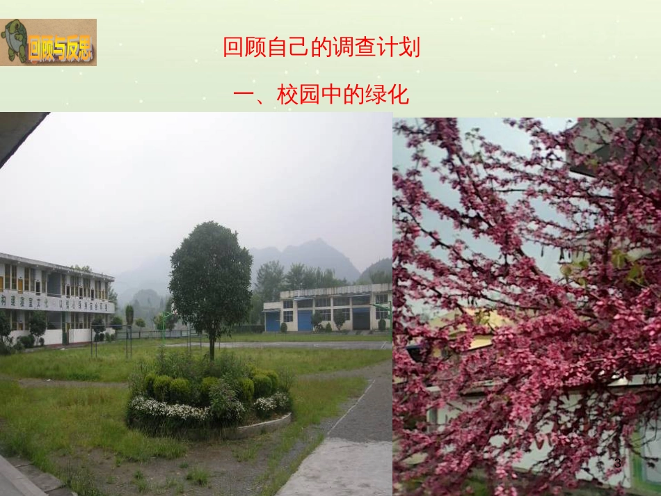 八年级生物下册 13.1 生物的分类课件1 北京版 (917)_第3页