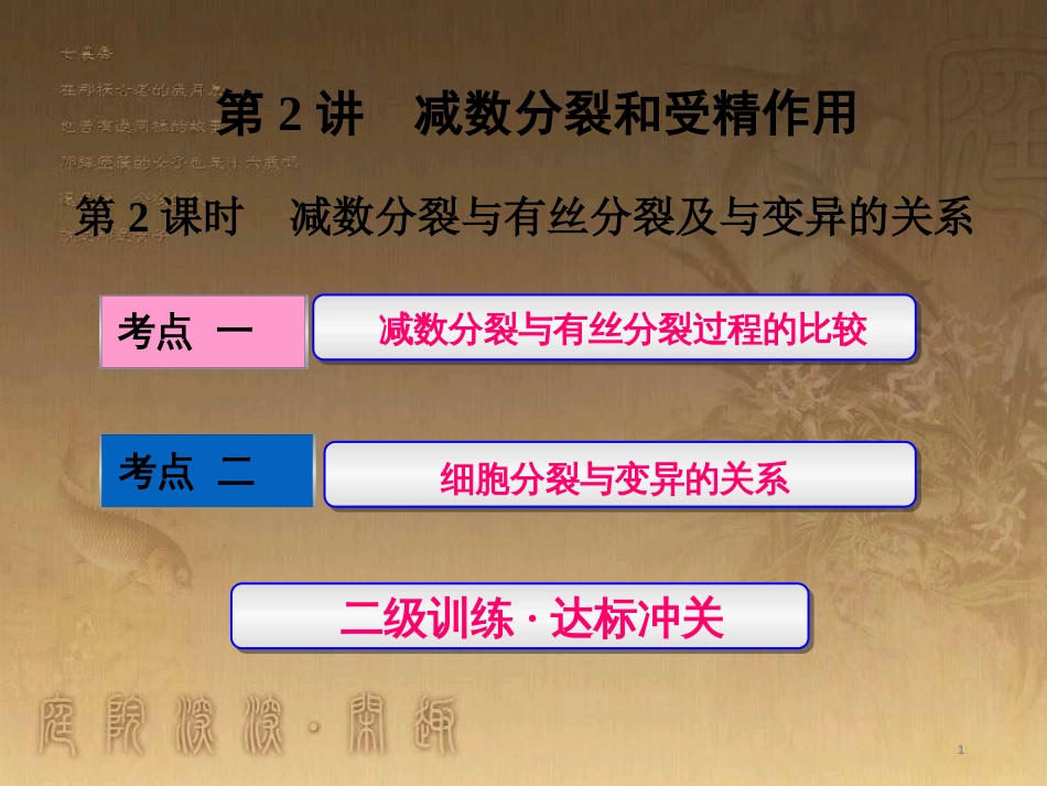 高考生物一轮复习 第二单元 基因的本质与表达 第1讲 DNA是主要的遗传物质课件（必修2） (24)_第1页