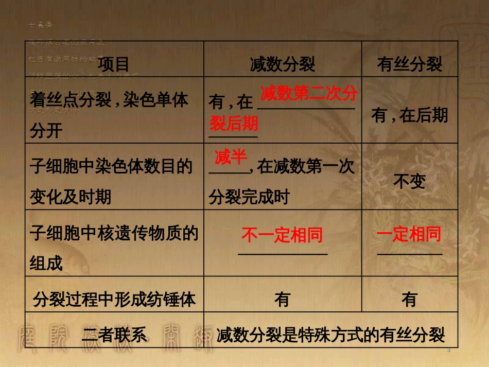 高考生物一轮复习 第二单元 基因的本质与表达 第1讲 DNA是主要的遗传物质课件（必修2） (24)_第3页