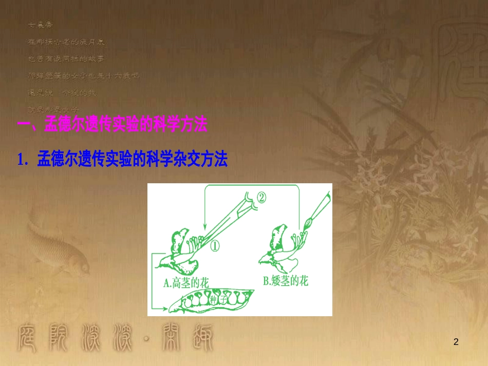 高考生物一轮复习 第八单元 生命活动的调节 第二讲 通过神经系统的调节课件 新人教版 (80)_第2页