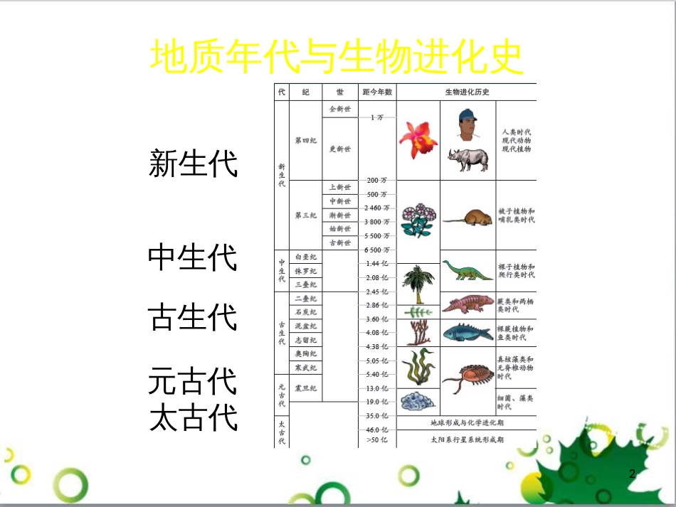 八年级生物下册 第21章 第2节 生物的进化（第2课时）课件 北师大版_第2页