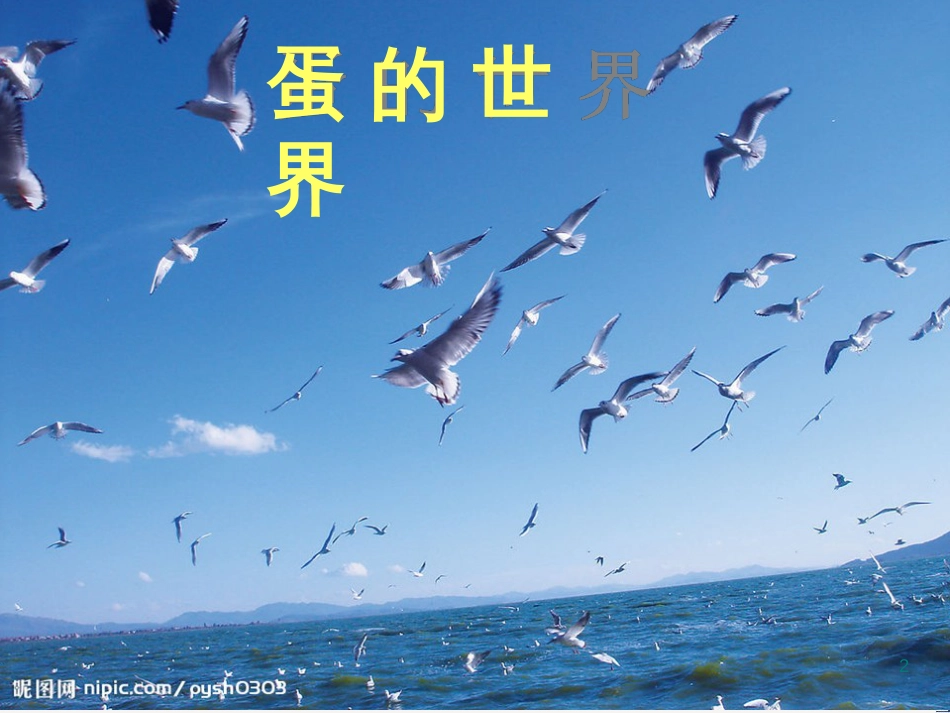 八年级生物下册 13.1 生物的分类课件1 北京版 (241)_第2页