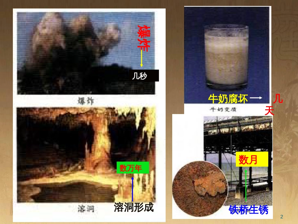 高中生物 2.1 减数分裂课件 新人教版必修2 (13)_第2页