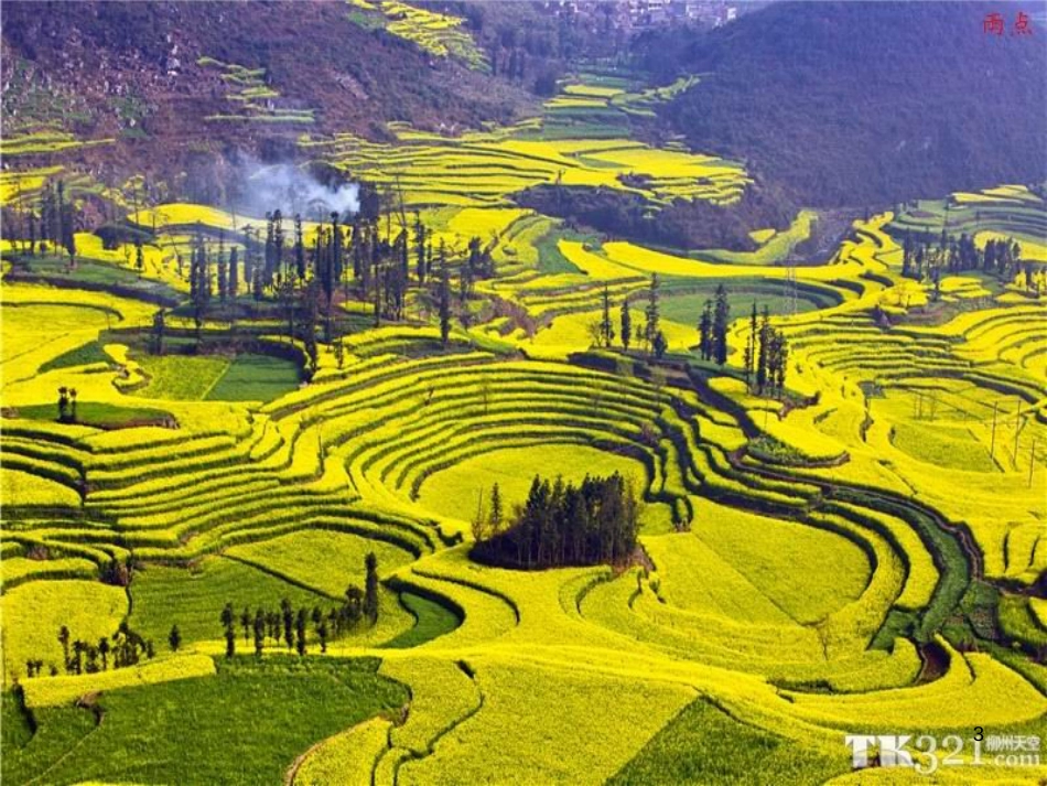 八年级生物下册 13.1 生物的分类课件1 北京版 (45)_第3页