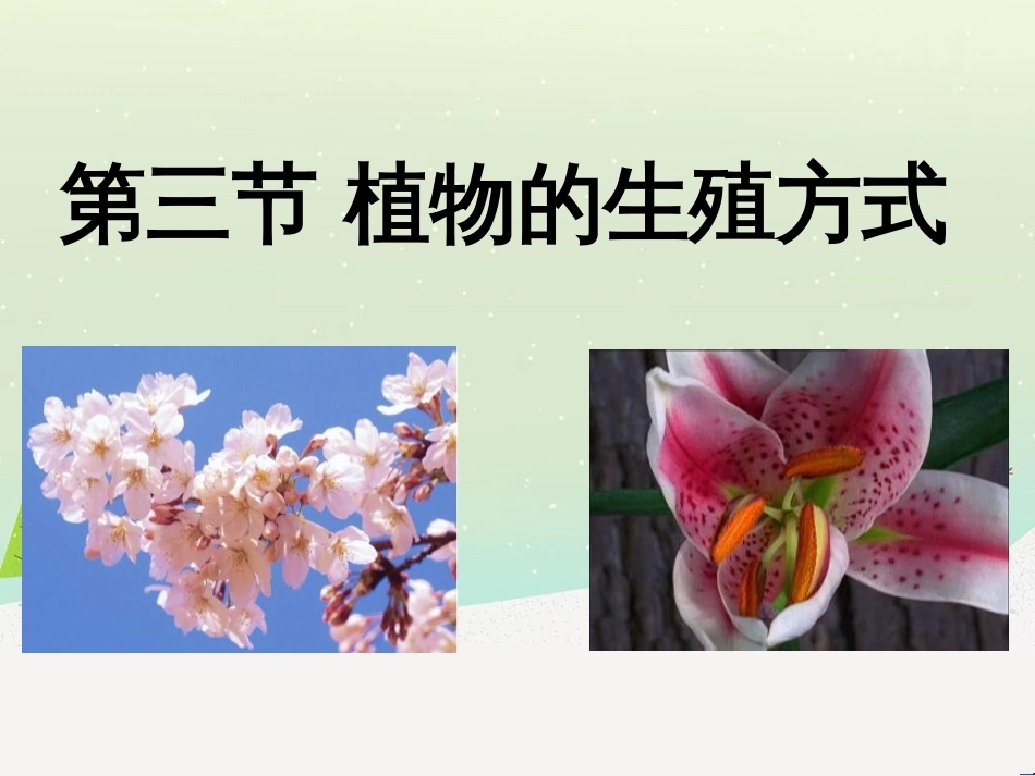 八年级生物上册 19.3《植物的生殖方式》课件3 （新版）北师大版_第2页