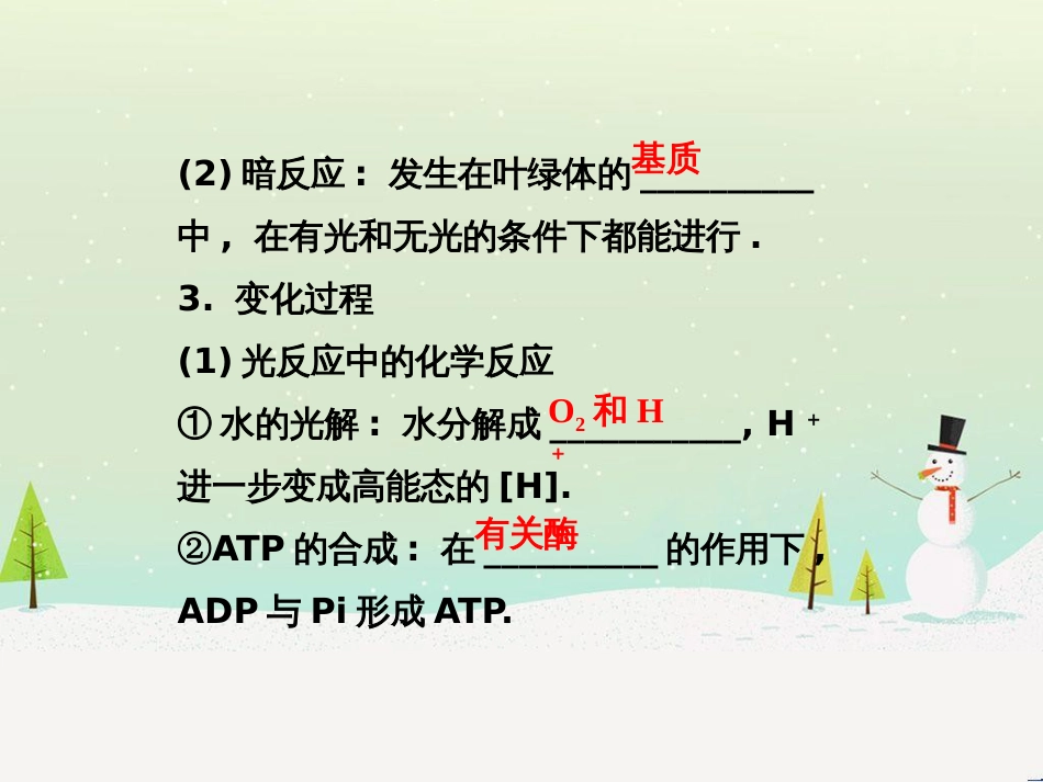 高中地理 第二章 第二节 森林的开发和保护——以亚马孙热带雨林为例课件 新人教版必修3 (211)_第3页