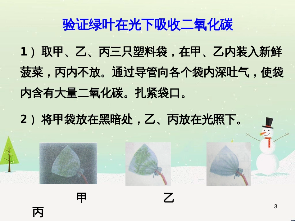 八年级生物上册 6.18.2《绿色植物与生物圈中的碳—氧平衡》课件2 （新版）苏科版_第3页