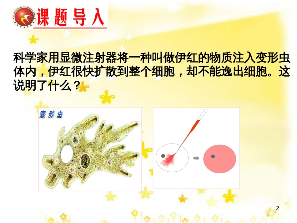 高中生物 第三章 细胞的基本结构 3.1 细胞膜-系统的边界课件 新人教版必修1_第2页