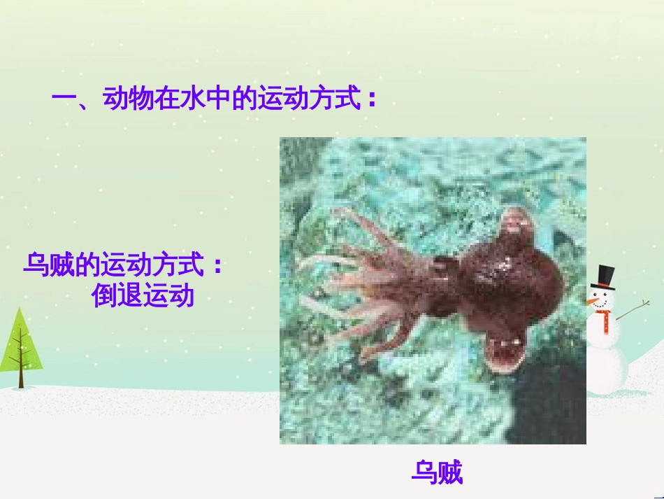 八年级生物上册 15.1《动物运动的方式》课件4 （新版）北师大版_第3页