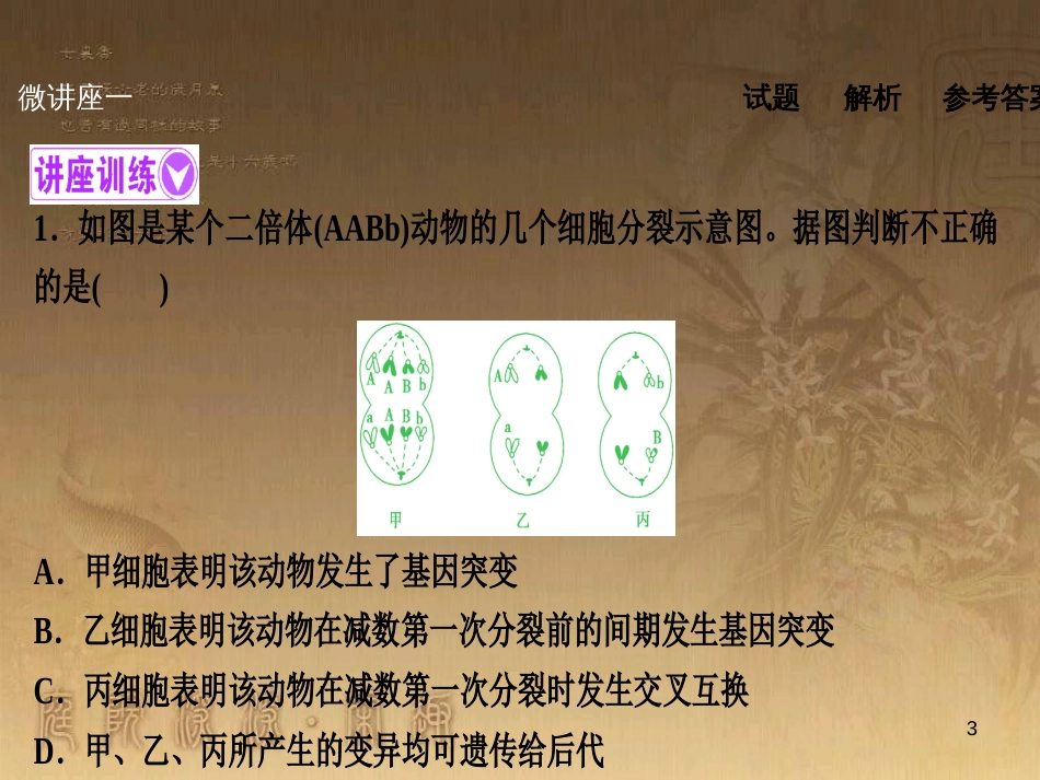 高考生物一轮复习 第八单元 生命活动的调节 第二讲 通过神经系统的调节课件 新人教版 (103)_第3页