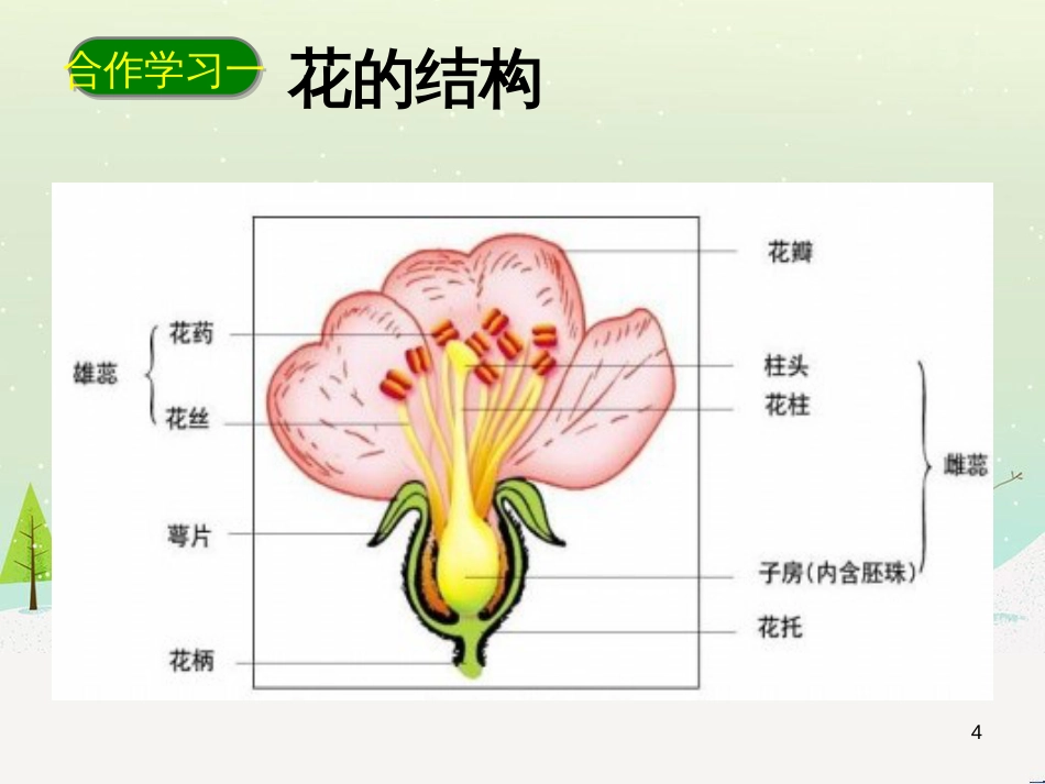 八年级物理上册 1.3《活动降落伞比赛》课件 （新版）教科版 (207)_第3页