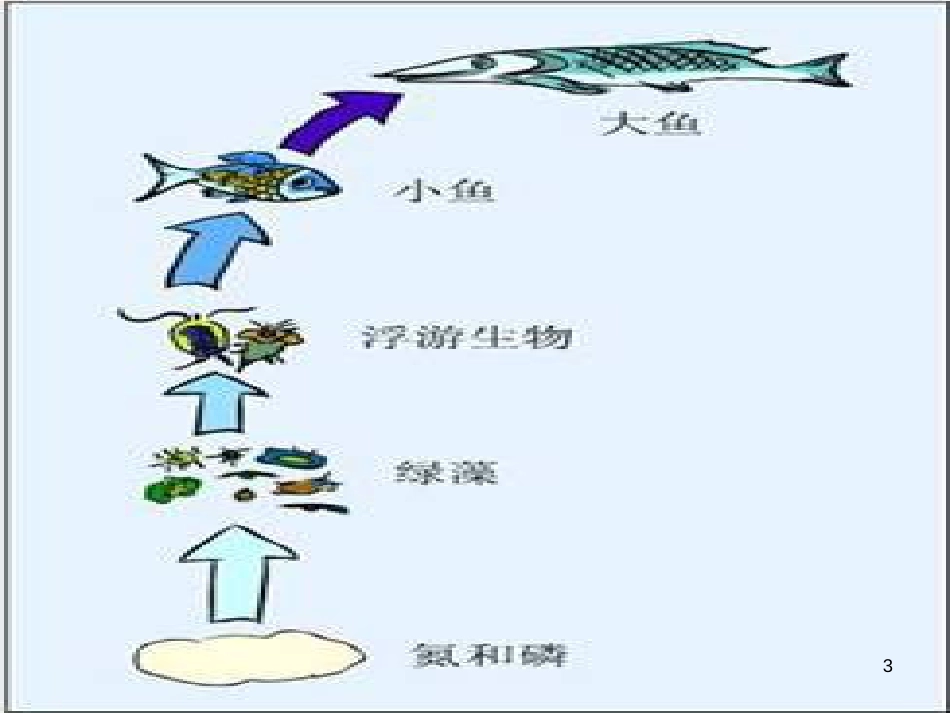 八年级生物下册 13.1 生物的分类课件1 北京版 (901)_第3页