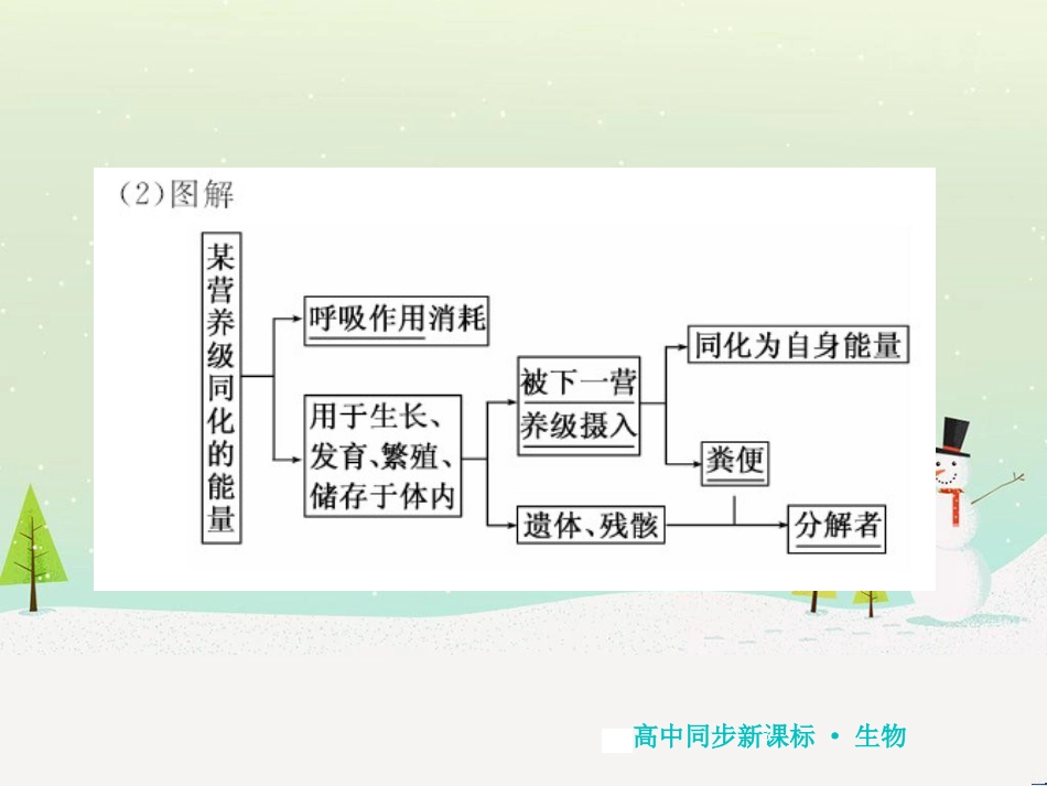 高中地理 第二章 第二节 森林的开发和保护——以亚马孙热带雨林为例课件 新人教版必修3 (223)_第3页