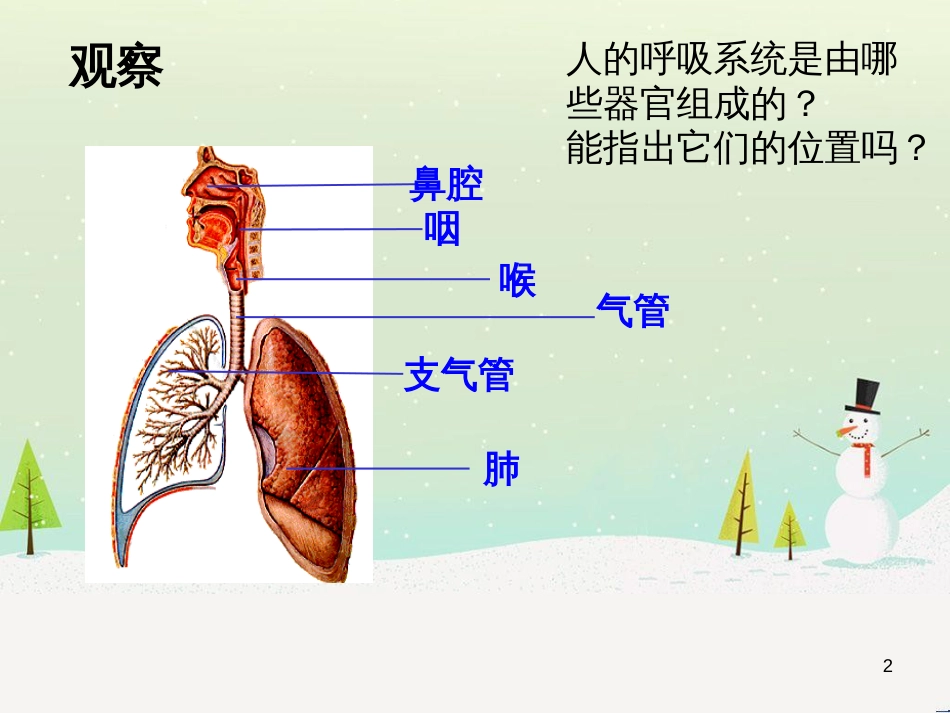 八年级生物下册 13.1 生物的分类课件1 北京版 (462)_第2页