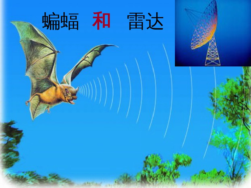 八年级生物下册 13.1 生物的分类课件1 北京版 (412)_第2页