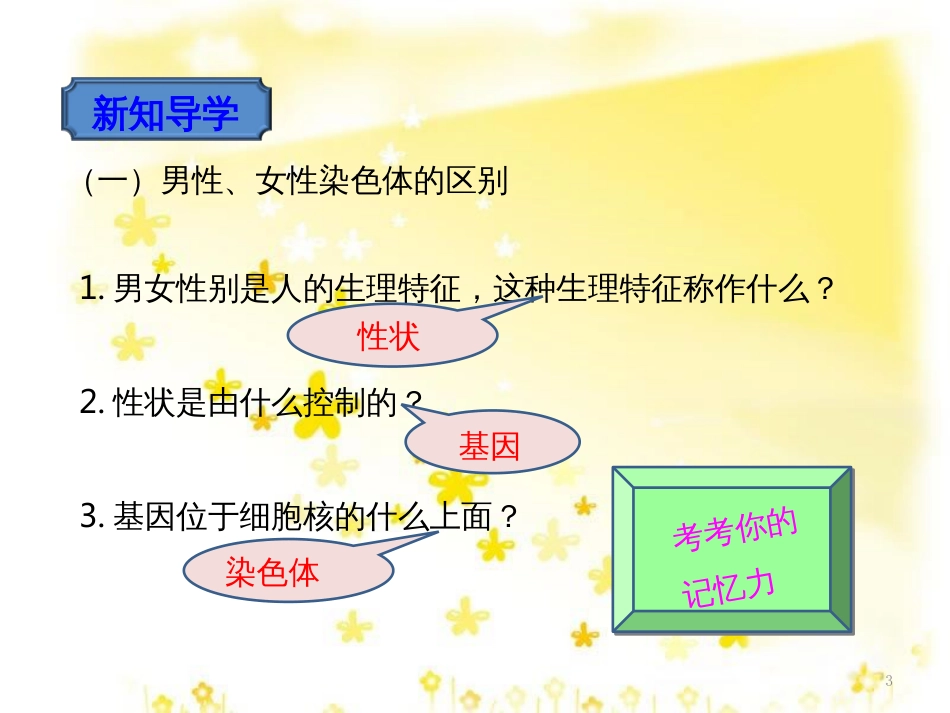 八年级生物下册 第六单元 第二章 第一节 遗传（三）《人的性别决定》课件 （新版）冀教版_第3页
