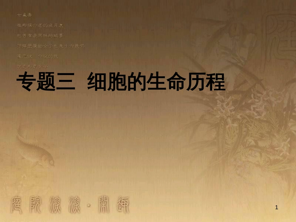 高三生物二轮复习 实验设计题的解题策略课件 (5)_第1页