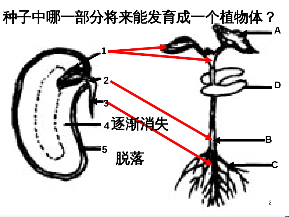 八年级物理上册 1.3《活动降落伞比赛》课件 （新版）教科版 (211)_第2页