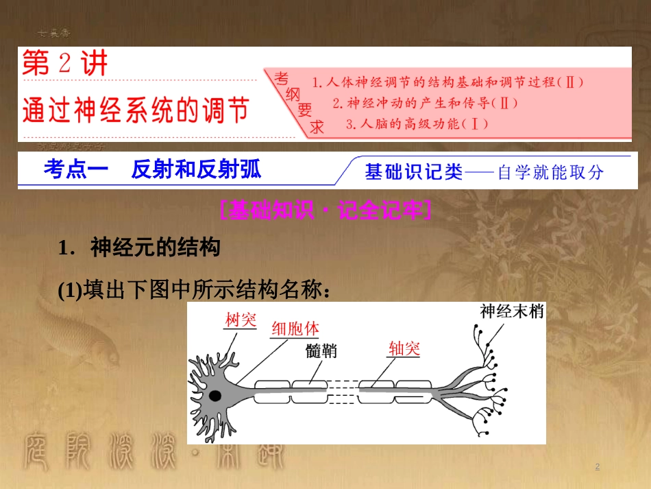 高考生物一轮复习 第二单元 基因的本质与表达 第1讲 DNA是主要的遗传物质课件（必修2） (21)_第2页