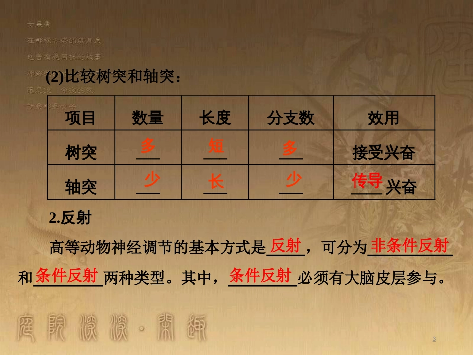 高考生物一轮复习 第二单元 基因的本质与表达 第1讲 DNA是主要的遗传物质课件（必修2） (21)_第3页