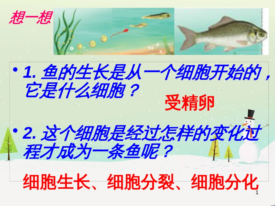 八年级物理上册 1.3《活动降落伞比赛》课件 （新版）教科版 (244)_第1页