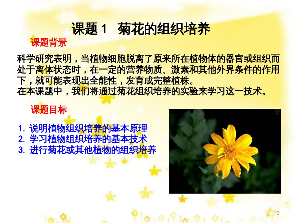 高中生物 专题3 植物的组织培养技术 课题3 菊花的组织培养课件 新人教版选修1_第2页