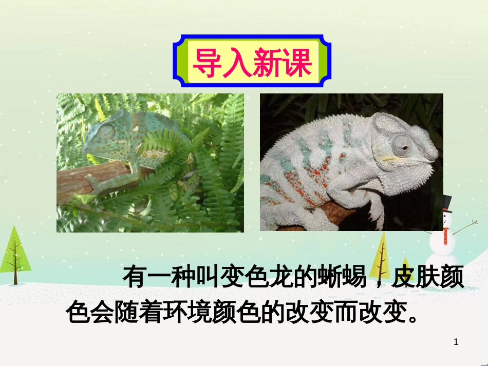 jcdAAA九年级语文下册 第二单元 6《变色龙》课件 新人教版_第1页
