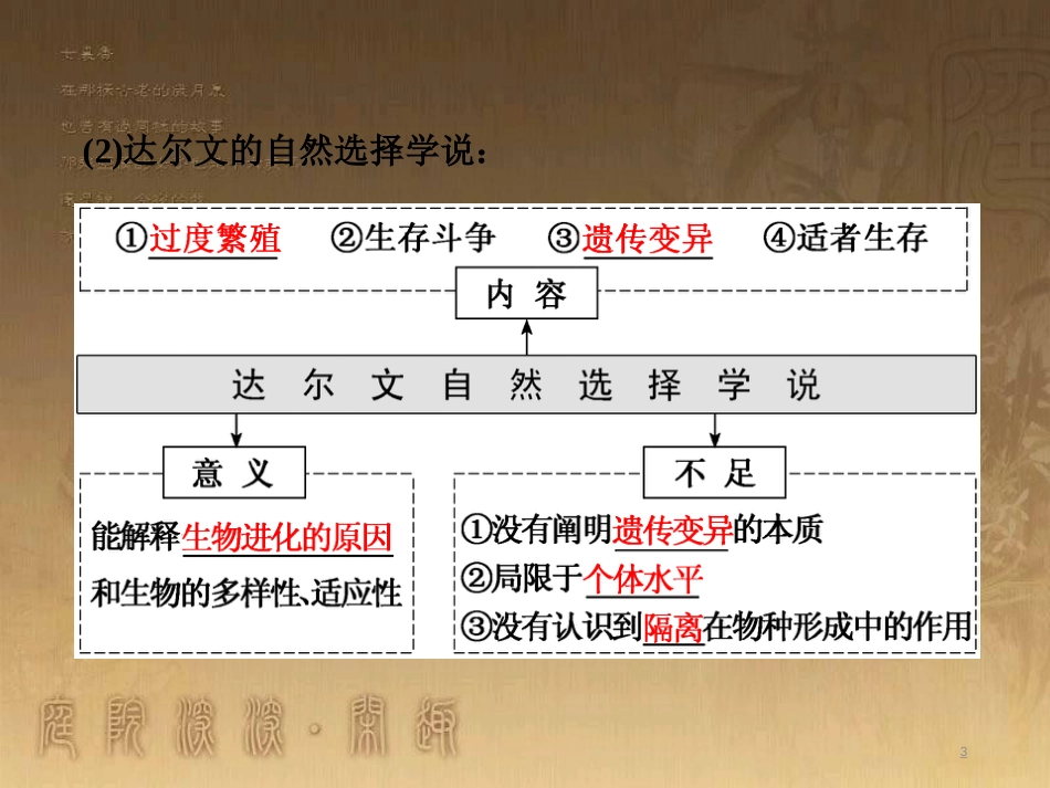 高考生物一轮复习 第二单元 基因的本质与表达 第1讲 DNA是主要的遗传物质课件（必修2） (37)_第3页