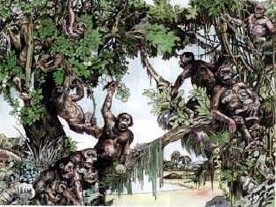 八年级生物下册 第七单元 第三章 第一节 地球上生命的起源教学课件 （新版）新人教版_第1页