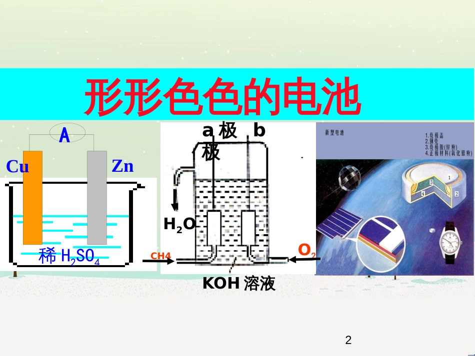 八年级生物上册 5.1.4鱼课件 （新版）新人教版 (11)_第2页