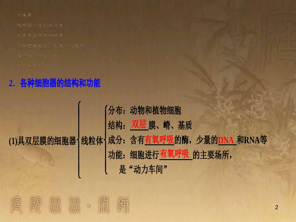高考生物一轮复习 第八单元 生命活动的调节 第二讲 通过神经系统的调节课件 新人教版 (123)_第2页