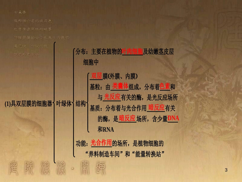 高考生物一轮复习 第八单元 生命活动的调节 第二讲 通过神经系统的调节课件 新人教版 (123)_第3页