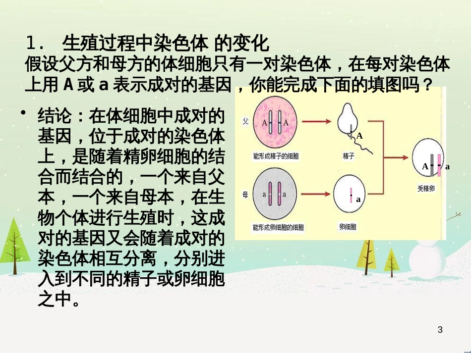 八年级生物上册 20.4《性别和性别决定》课件1 （新版）北师大版_第3页