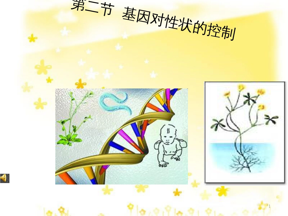 高中生物 4.2 基因对性状的控制课件 新人教版必修2_第1页